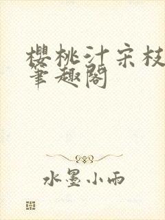 樱桃汁宋枝江野笔趣阁