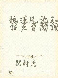 魏瑾风沈知玉小说免费阅读最新章节