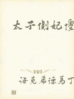 太子侧妃傻乎乎