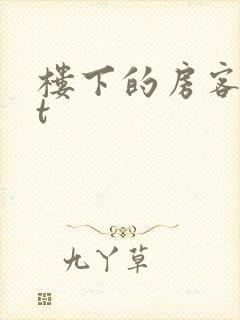 楼下的房客txt封面