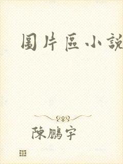 图片区小说区封面