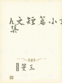 h文短篇小说合集封面