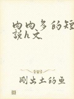 肉肉多的短篇小说h文