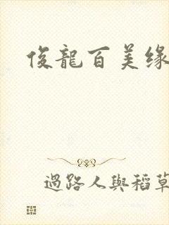 俊龙百美缘小说