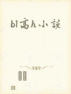 bl高h小说