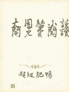 大团结小说笔趣阁免费阅读