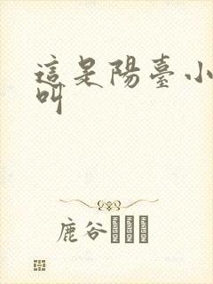 这是阳台小点声叫封面