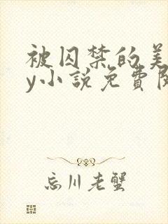 被囚禁的美人by小说免费阅读