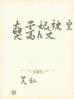 太子妃被皇上c哭高h文