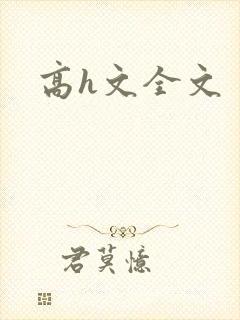 高h文全文封面