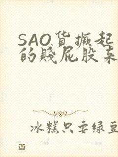 SAO货撅起你的贱屁股来封面