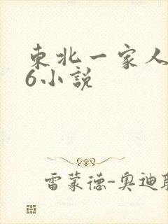 东北一家人1一6小说