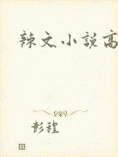 辣文小说高h