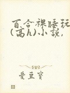 百合裸睡玩奶头(高h)小说,