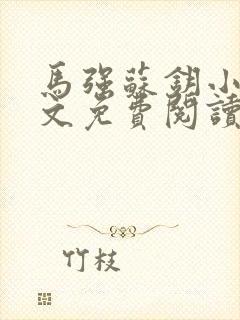 马强苏钥小说全文免费阅读最新章节