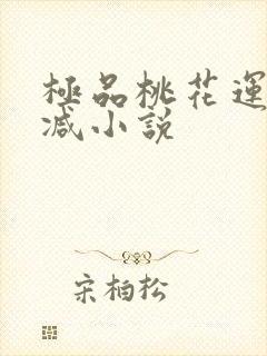 极品桃花运未删减小说封面