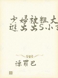 少妇被粗大猛进进出出S小说封面