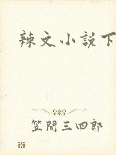 辣文小说下载封面