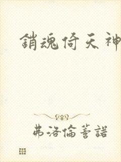 销魂倚天神雕封面