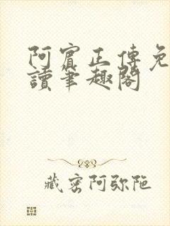 阿宾正传免费阅读笔趣阁封面