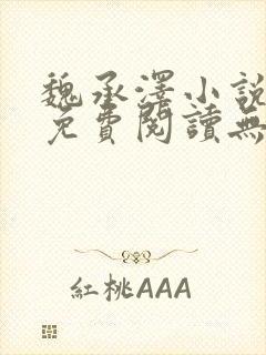 魏承泽小说全文免费阅读无弹窗笔趣封面