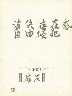 消失存在感消失自由侵犯封面