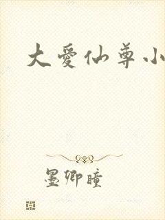 大爱仙尊小说封面