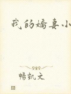 我的娇妻小说