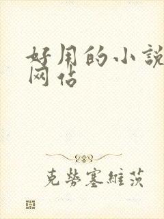 好用的小说阅读网站