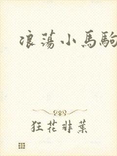 浪荡小马驹封面
