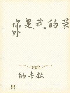 你是我的荣耀番外