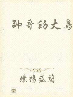 帅哥的大鸟