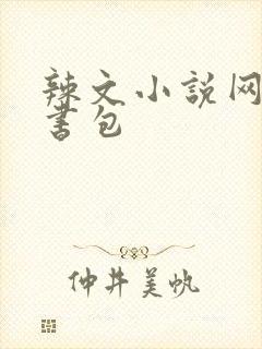 辣文小说网第二书包封面