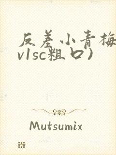 反差小青梅(1v1sc粗口)