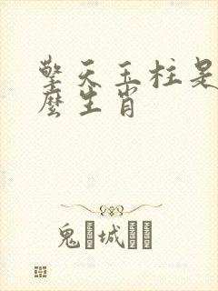 擎天玉柱是指什么生肖封面