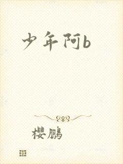 少年阿b封面