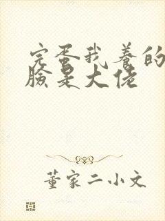 完蛋我养的小白脸是大佬