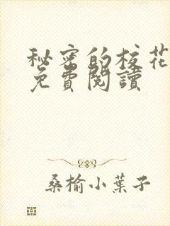 秘密的校花小说免费阅读封面