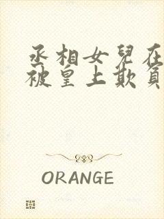 丞相女儿在书房被皇上欺负