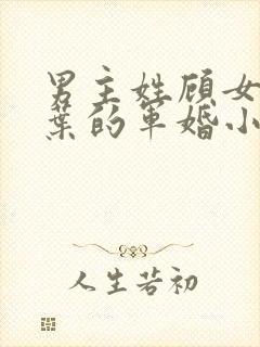 男主姓顾女主姓叶的军婚小说