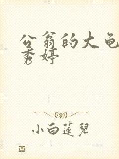 公翁的大龟挺进秀婷封面