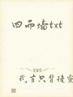 四面墙txt