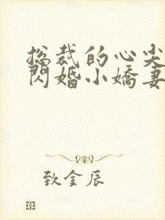 总裁的心尖宠是闪婚小娇妻