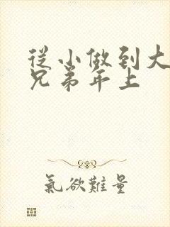 从小做到大骨科兄弟年上