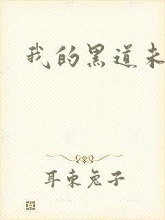 我的黑道未婚夫