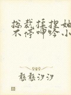 总裁揉捏她两乳不停呻吟小说