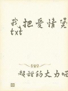 我把爱情煲成汤txt