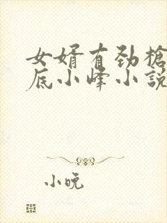 女婿有劲枪枪到底小峰小说