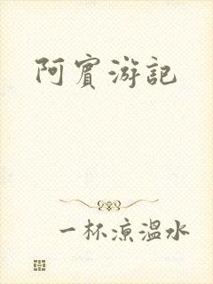 阿宾游记