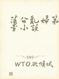 荡公乱妇第51章小说